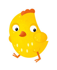 cartoon scene with chicken on white background - illustration for children