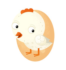 cartoon scene with chicken on white background - illustration for children