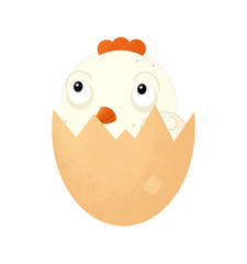 cartoon scene with chicken on white background - illustration for children