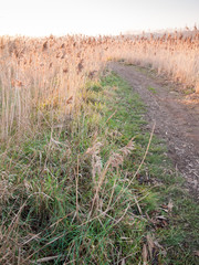 Beautiful countryside Dedham water scene outside nature landscape space