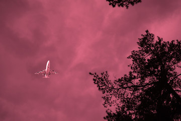 View from below through the dark trees on an airliner in a cloudy sky. Fantasy.