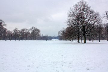 Snowy London park