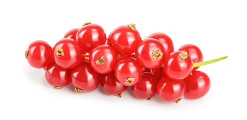 Red currant berry isolated on white background