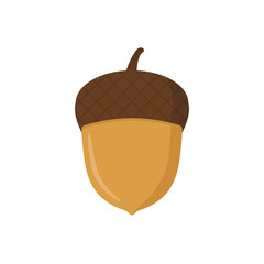 Acorn illustraton. Vector. Isolated.