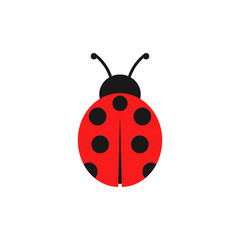 Ladybug illustration. Vector. Isolated. © nazar12