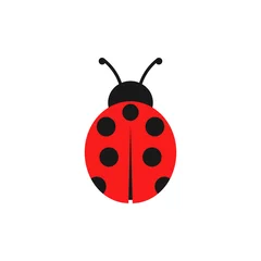 Fotobehang Ladybug illustration. Vector. Isolated. © nazar12