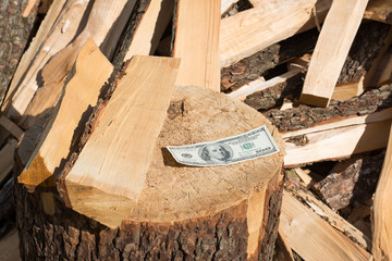 Dollar bill on a firewood. Payment for firewood