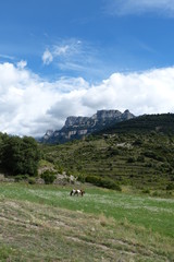 Obraz premium Sestrales