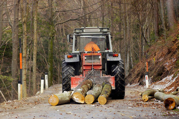 Holztransport in der Forstwirtschaft