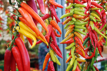 Colorful peppers hanging in vegetable market stand
