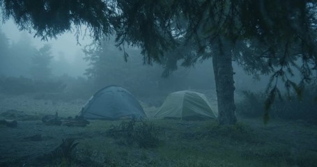Horror look in the forest - Two spherical tents in a grassy lawn in a forest