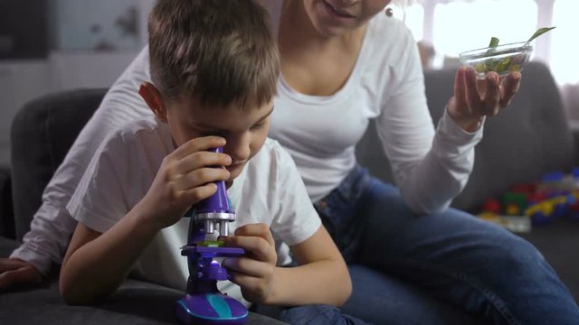 Close up preadolescent boy carefully examining plants in child microscope sitting sofa next to mother. Curious smart family spending leisure time studying world of plants in microscope