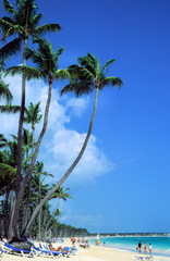 Naklejka premium strandleben in der karibik