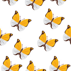 Butterfly seamless pattern vector. Summer butterflies background.