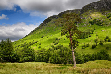 Meall an t-Suidhe mountain north of Ben Nevis at Glen Nevis valley Scottish Highlands Scotland UK © Reimar
