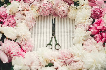 Rustic old scissors in pink and white peonies frame on table, flat lay. Florist and floral shop concept. Wedding arrangement.