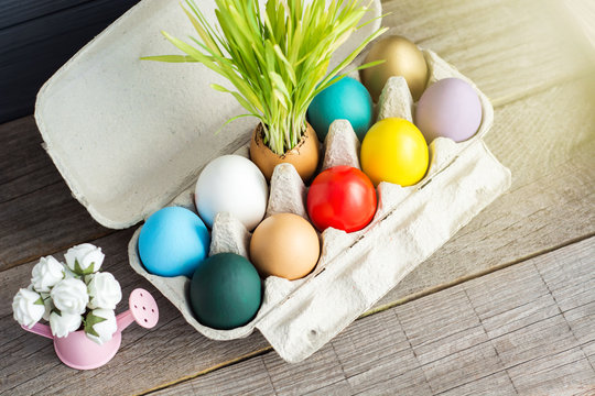 Easter colored eggs in egg tray, young wheat sprouts from the shell, soft focus image