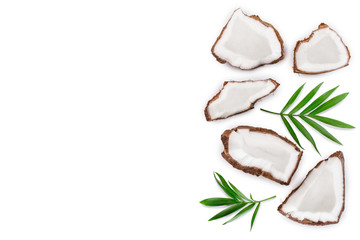 piece of coconut with leaves isolated on white background with copy space for your text. Top view. Flat lay