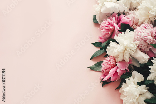 Stylish pink and white peonies border on pink paper flat lay with space for text. Happy mother's day. International womens day. Greeting card mockup. Hello spring
