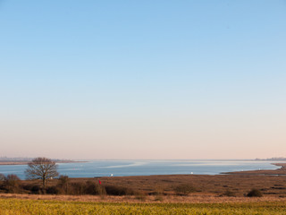 Fototapeta premium Fingringhoe wick nature reserve outside landscape background space open country countryside