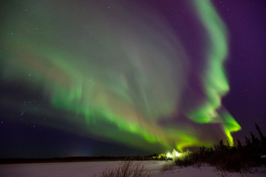 Multicolored green Violet vibrant Aurora Borealis Polaris, Northern Lights in night sky.