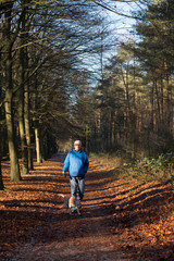 Senior man walking dog in forest