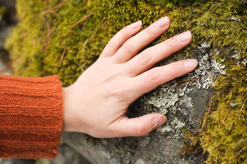 Human hand touching moss and lichen covered stone.