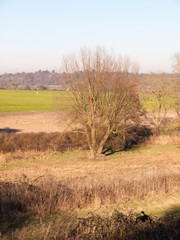 Fototapeta premium Fingringhoe wick nature reserve outside landscape background space open country countryside