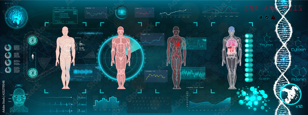 Poster A modern medical interface for monitoring human scanning and analysis, HUD healthcare. Medical interface. Abstract virtual graphical user interface for medicine. HUD for motion design. gui elements