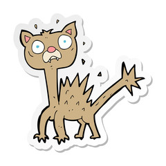 sticker of a cartoon scared cat