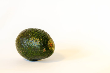 Avocado isolated on white background