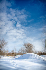 Obraz premium Winter landscape with trees on a hill and beautiful cirrus clouds on a blue sky on a sunny day. Vertical frame