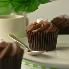 Delicious chocolate cupcake dessert. Brownie cake with cream. Sweet dessert. Monstera green leaves on background. Square image.