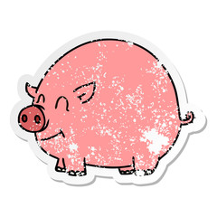distressed sticker of a quirky hand drawn cartoon pig