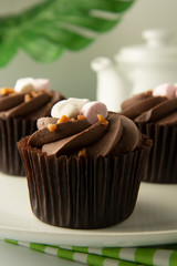 Delicious chocolate cupcake dessert. Brownie cake with cream. Sweet dessert. Monstera green leaves on background.