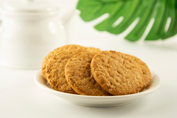 Oat Cookies and coffee breakfast, or coffee break. Oatmeal healthy biscuits. Green monstera, plam leaves. Copy space. Bright background. Food.