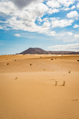 Fototapeta na wymiar DUNAS DE CORRALEJO - View -Fuerteventura