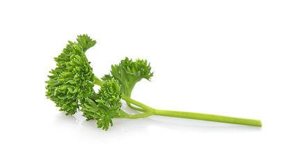 Parsley isolated on white background