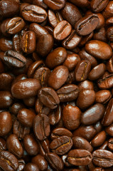 roasted coffee beans, can be used as a background