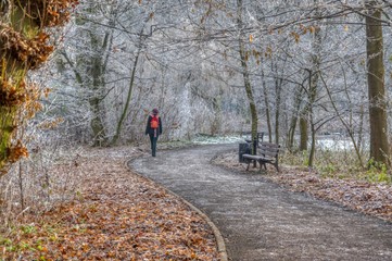 szadź pokryła gałęzie drzew, zeschnięte liście i trawnik, samotna kobieta spaceruje alejką parkową pośród oszronionych drzew