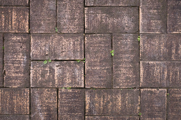 The aged ground with bricks