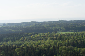 Wald und Wiesen-Landschaft im bayerischen Voralpenland