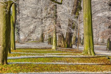 dynamiczna zmiana pogody, białe cienie na trawie, szron na drzewach, słoneczny dzień