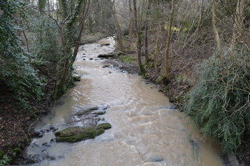 Lade Braes Walk St Andrews. Fife, Scotland in February