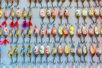 Countless of colorful fishing metal lures. Bait for fishing in the shape of a spoon with a hook on a gray background