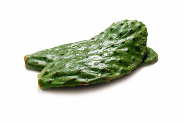 Prickly pear cactus, Opuntia isolated on white background. On the leaves of large drops of water 