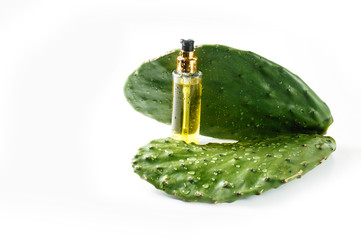 Prickly pear cactus oil. On a green leaf cactus large drops of water. 