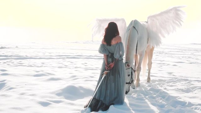 mysterious dark angel hunts animal, no face lady in long gray vintage dress slowly walks to white horse with wings, pulls silver sword, terrible curse immortality due to blood of unicorn or pegasus