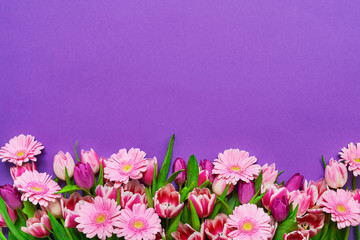 Pink flowers on violet background. Copy space. Holiday background.