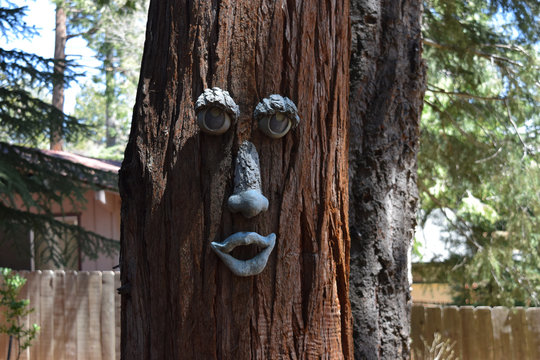 A tree with a face